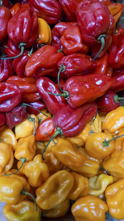 Ultimate Guide to Mexican Chili Peppers